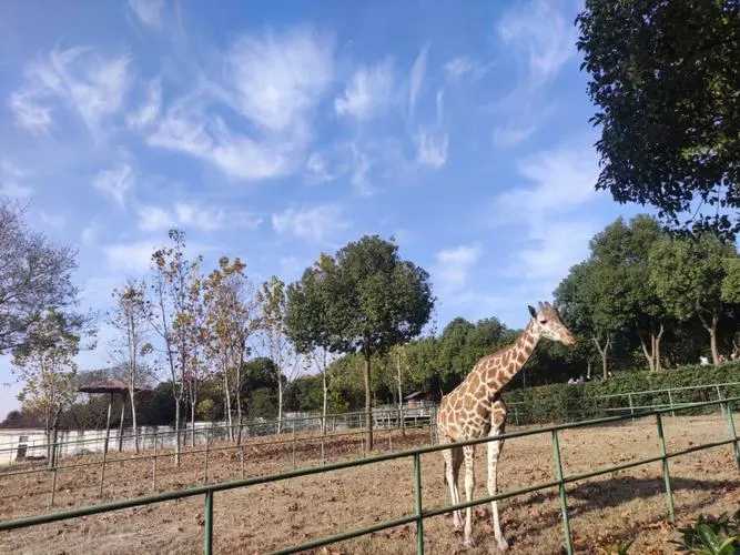 早春三月春暖花開 市民逛動物園植物園有更多優惠