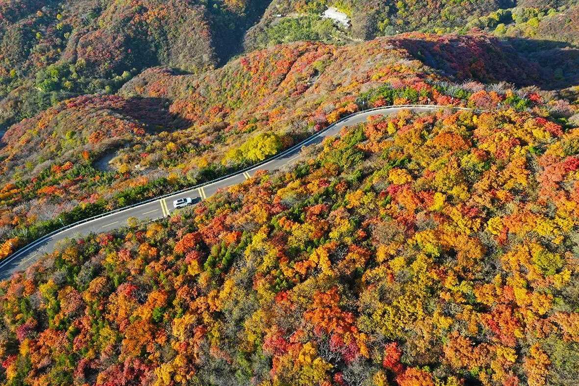 龍山太山紅葉文化節(jié)啟動 看西山紅遍 品晉陽文化