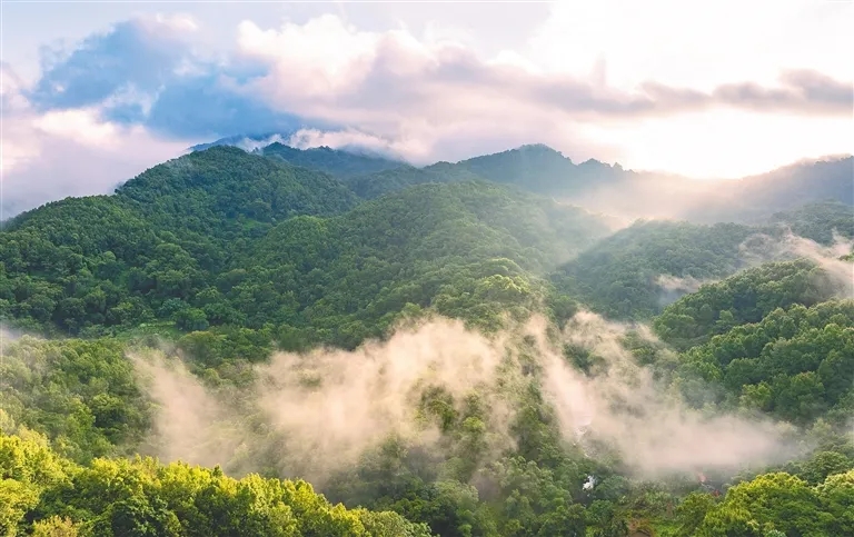 中央第一生態(tài)環(huán)境保護(hù)督察組向我市交辦第六批群眾信訪舉報(bào)件情況